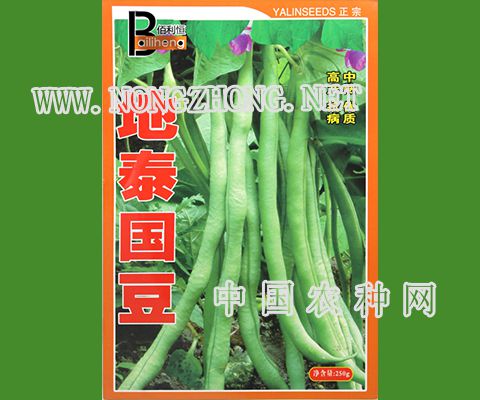 地泰国豆豆角种子